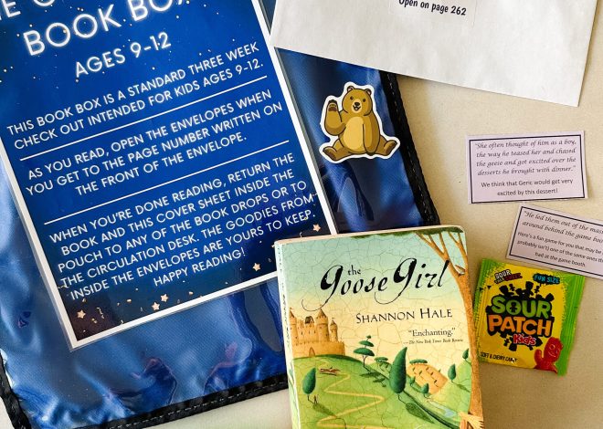 Ultra Fun Book Boxes by my library!