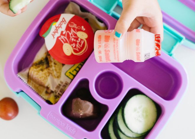 20+ Strategies for Packaging Children’s Lunch