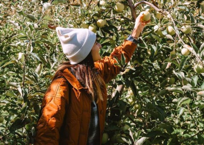 From Apple Picking to Leaf Peeping: 50 Fun Things to Do This Fall