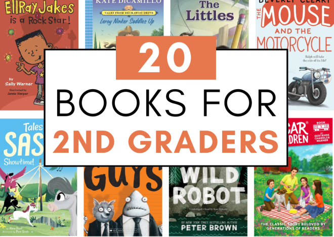 20 Chapter Books for 2nd Grade Students